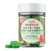 Feela HXY9-THC Berry Melon Gummies 4000mg